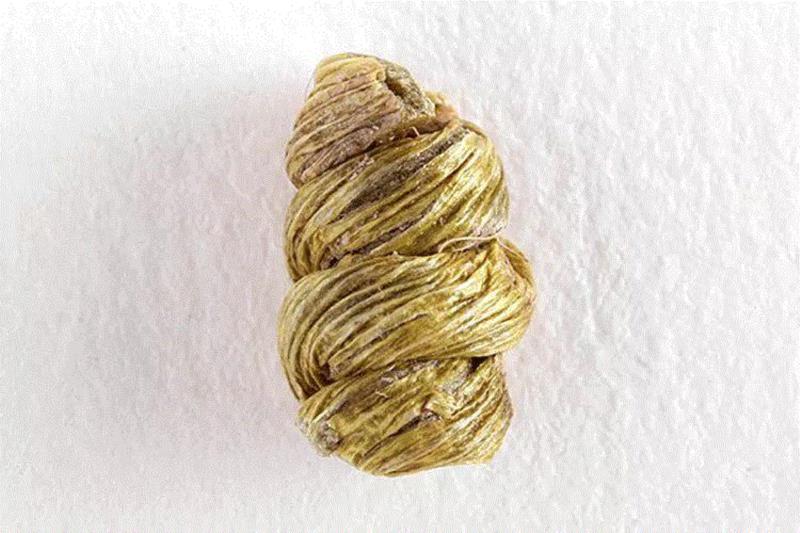 武则天养颜益寿的秘诀，就在这株草里,武则天,养颜益寿,秘诀,霍山,本草,养生,营养,冬季,全家人,铁皮