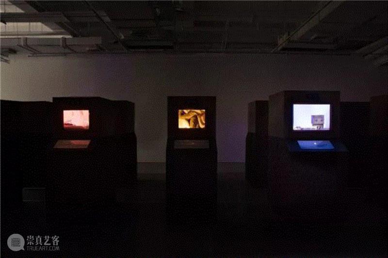 没顶画廊艺术家2017年度十佳作品,没顶画廊,十佳,装置,影像,苗颖,徐震,王新一,沈莘,冯梦波,陆平原
