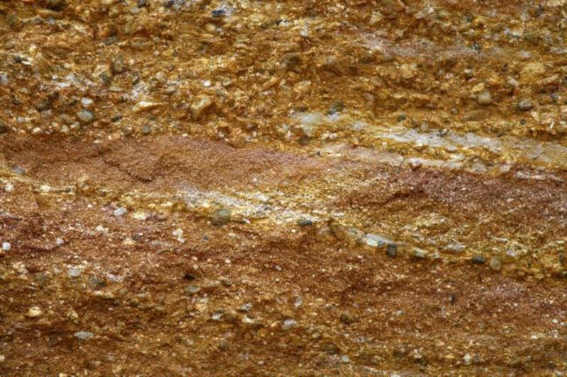 活动回顾 | 四方“博物志”系列对谈:安全区:良知能在战争中做些什么?(上),安全区,战争,四方,博物,良知,南京,难民,荔枝,金陵,日本