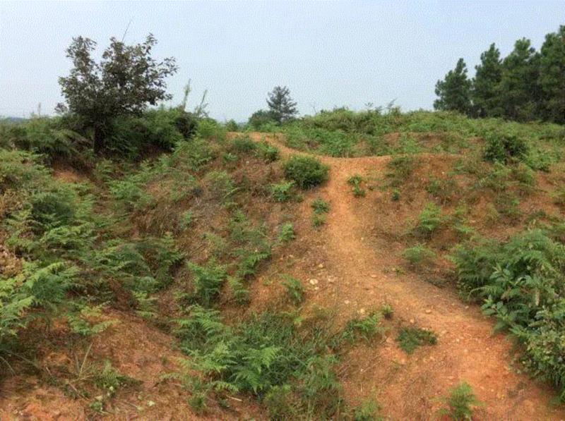 活动回顾 | 四方“博物志”系列对谈:安全区:良知能在战争中做些什么?(上),安全区,战争,四方,博物,良知,南京,难民,荔枝,金陵,日本