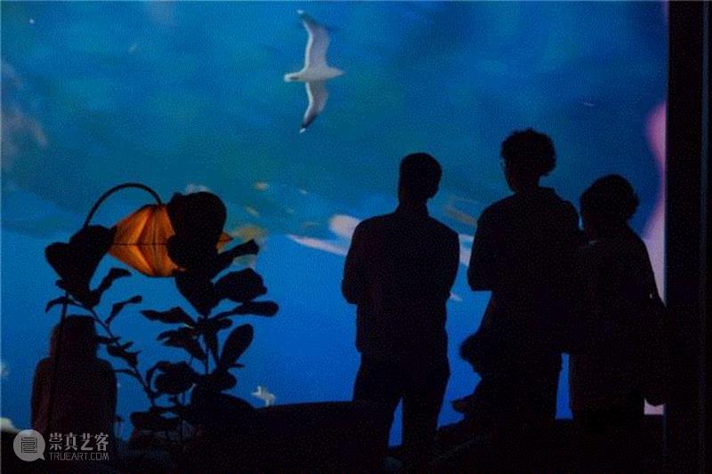 皮皮洛蒂·瑞斯特：用创意连接艺术与科技，当代实验影像与多媒体艺术先锋,皮皮洛蒂·瑞斯特,创意,艺术与科技,实验影像,多媒体艺术,先锋,皮皮洛蒂,瑞斯特,影像,视频