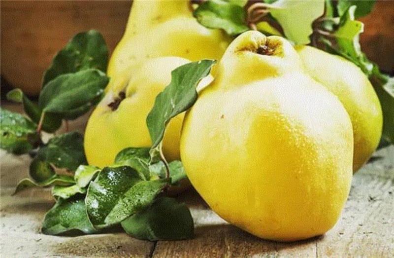 日本皇室御用化妆水，一瓶搞定保湿、祛痘、抗敏……,日本,化妆,皇室,抗敏,毛毛,皮肤,品牌,过敏,香水,酒精