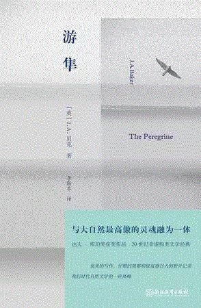 游隼,第三届单向街·书店文学奖年度作品提名揭晓