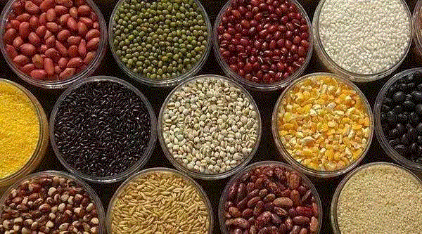 【限时特惠】脾胃不好，肾亏气虚？吃什么都不如吃这个！