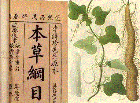 【限时特惠】脾胃不好，肾亏气虚？吃什么都不如吃这个！