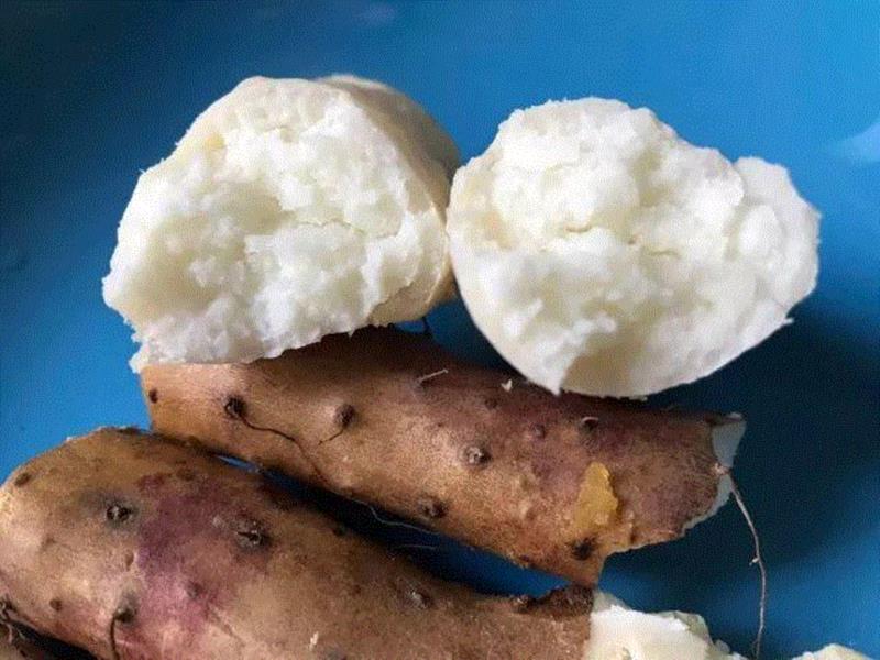 【限时特惠】脾胃不好，肾亏气虚？吃什么都不如吃这个！