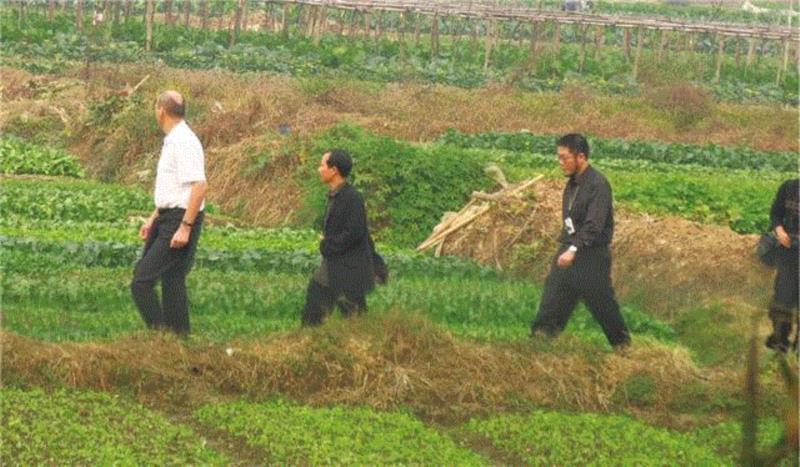 2004年,库哈斯、侯瀚如、王璜生在时代玫瑰园周边农田考察,生产 | 赵趄:从广东美术馆时代分馆到时代美术馆,时代美术馆,广东美术馆,分馆,美术馆,库哈斯,时代地产,企业,三年展,公益,建筑