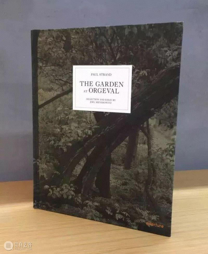 《保罗·史川德：奥哲瓦的花园》,Readings | 失序的时空——摄影书的阅读线索,Readings,时空,摄影书,影像,摄影,书籍,史川德,影集,沃克,埃文斯