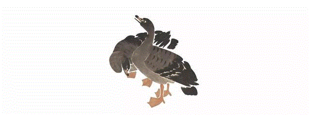 ?李初梨旧藏扬州八怪作品?,【嘉德秋拍】“中国古代书画”日场——扬州八家专题精选,扬州,嘉德秋拍,中国古代书画,日场,边寿民,罗聘,梅花,李方膺,晴江,高凤翰