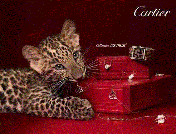 Cartier官方海报，来自品牌全球官网,最容易上手的圣诞装扮！,圣诞,上手,颜色,圣诞节,指甲油,NailEasy,指甲,涂抹,奢侈品牌,品牌