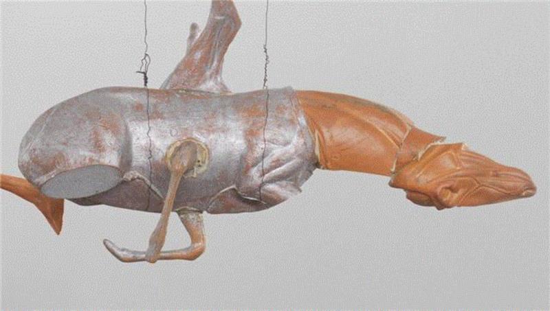 巴塞尔迈阿密展品赏析：布鲁斯·纽曼 《无题（两匹狼、两只鹿）》，审视人类处境的观念艺术杰作,巴塞尔迈阿密,布鲁斯·纽曼,处境,观念艺术,杰作,纽曼,动物,豪瑟沃斯,雕塑,布鲁斯