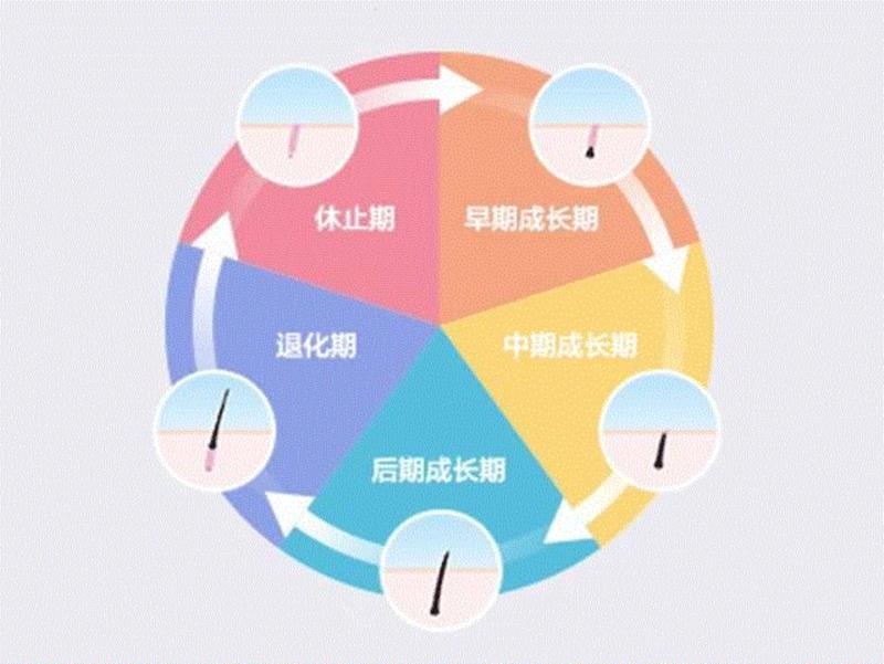 短小稀疏的睫毛还有救吗？有！,睫毛,ANGFA,毛毛,增长,日本,美容,棕色,根部,黑色,推荐