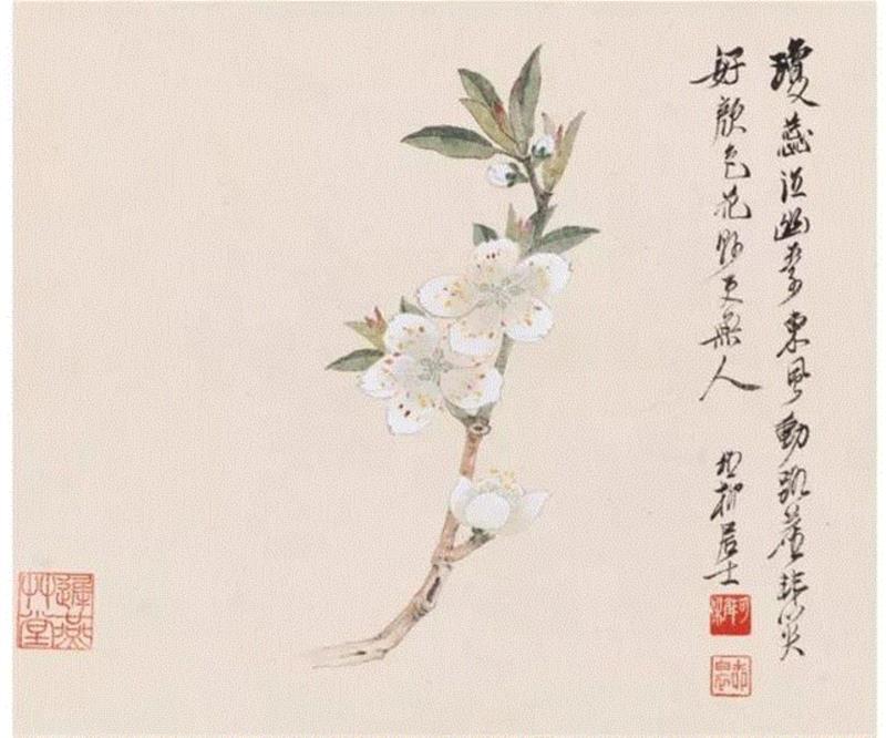 【嘉德秋拍】精工墨法 诗境繁花 | 谢稚柳山水及花卉册,谢稚柳,花卉,嘉德秋拍,精工,墨法,繁花,稚柳,谢稚,敦煌,册页