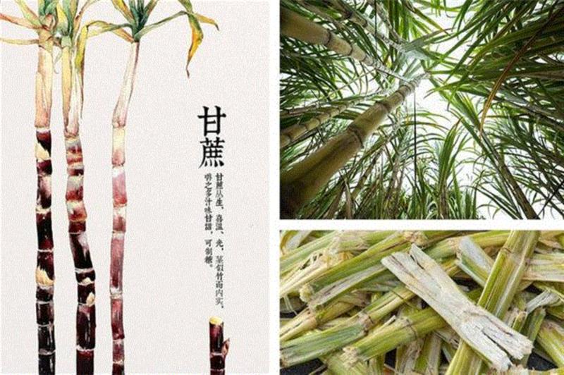 小小一颗金色的蜜糖,补足血气,由内而外做红润美人,蜜糖,金色,血气,由内而外,美人,甘蔗,营养,红糖,冰糖,皮肤