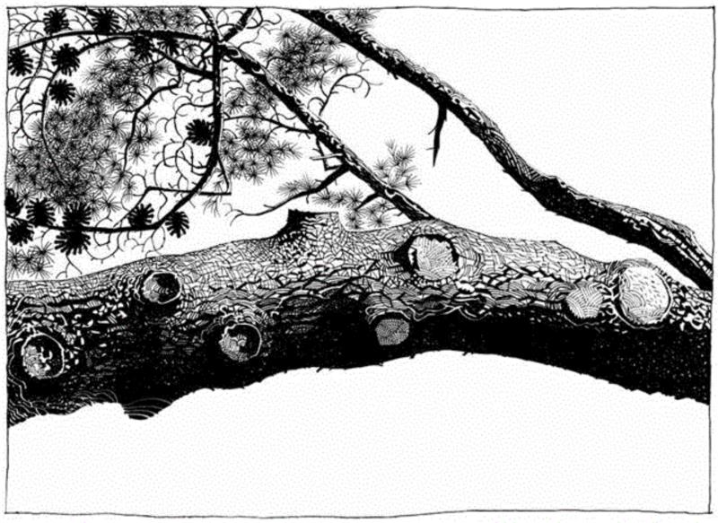 地表最酷虚拟乐队Gorillaz操控者的艺术世界,Gorillaz,乐队,地表,艺术世界,Hewlett,塔罗,Jamie,漫画,Murdoc,Russel