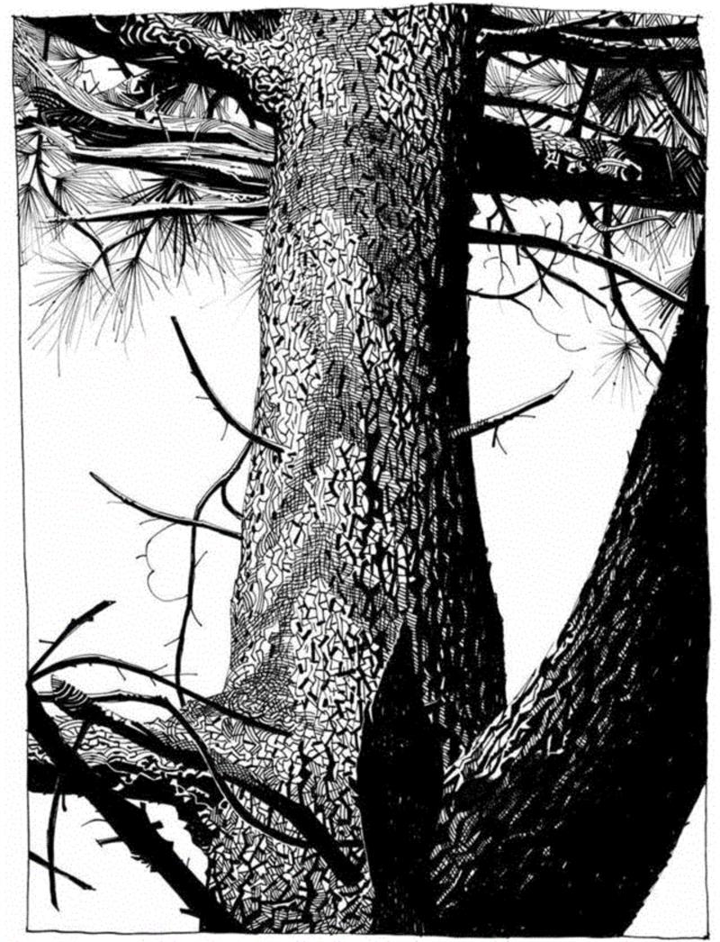 地表最酷虚拟乐队Gorillaz操控者的艺术世界,Gorillaz,乐队,地表,艺术世界,Hewlett,塔罗,Jamie,漫画,Murdoc,Russel