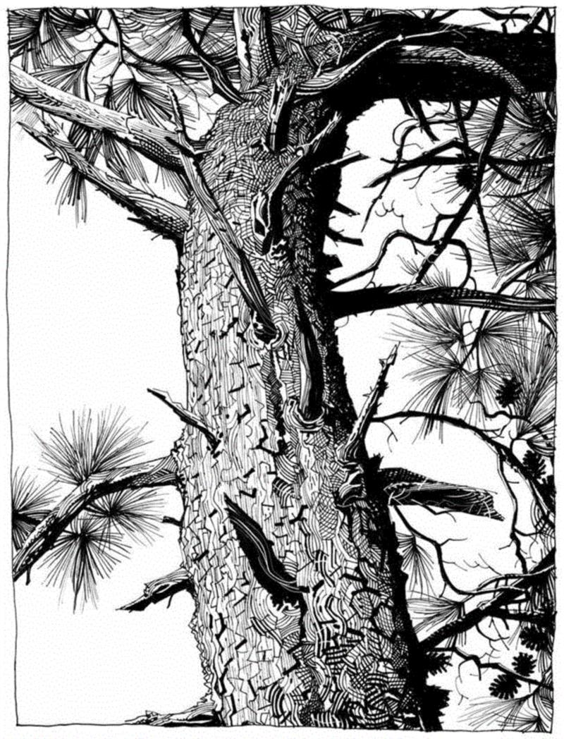 地表最酷虚拟乐队Gorillaz操控者的艺术世界,Gorillaz,乐队,地表,艺术世界,Hewlett,塔罗,Jamie,漫画,Murdoc,Russel