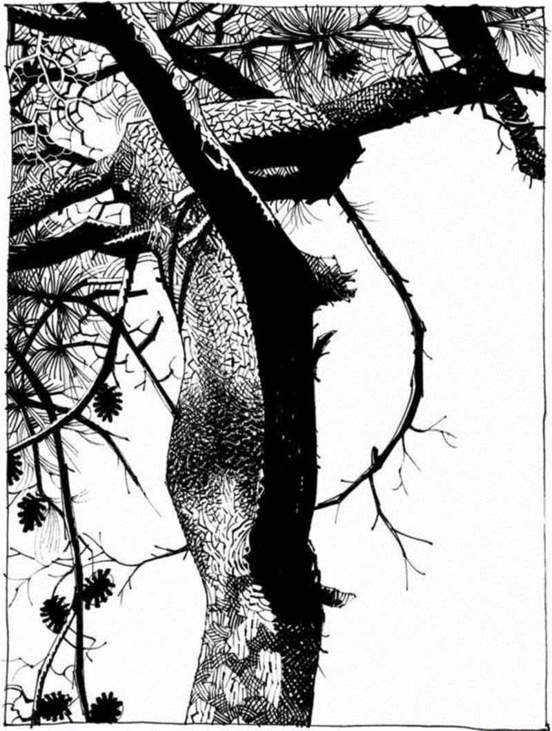 地表最酷虚拟乐队Gorillaz操控者的艺术世界,Gorillaz,乐队,地表,艺术世界,Hewlett,塔罗,Jamie,漫画,Murdoc,Russel