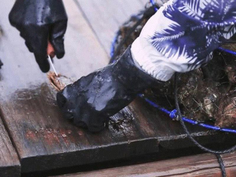 图为宇和岛的珍珠匠人在海边收割珍珠,“素颜”的胜利！,素颜,胜利,珍珠,日本,素颜霜,皮肤,推荐,Cheryl,VIP,会员