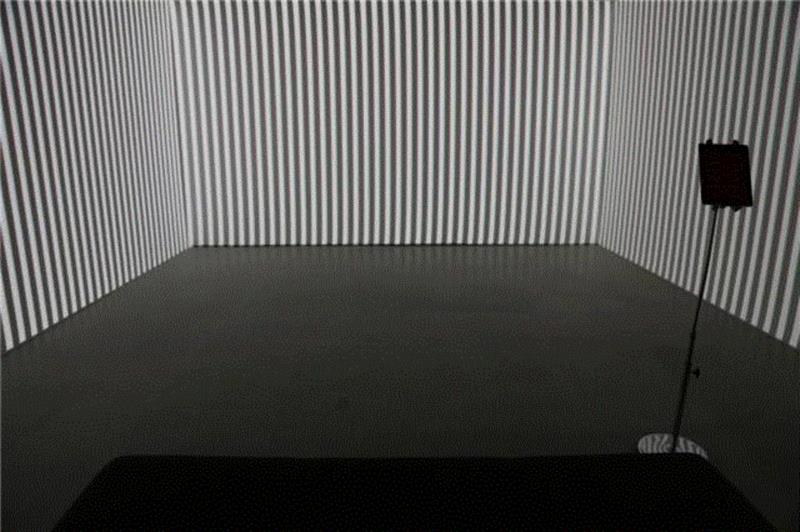 影像装置,CAC·开幕回顾 | “非”真实 — 算法之当下,算法,媒体,新时线媒体艺术中心,定制,Center,with,丹尼尔,策展人,Daniel,ZHANG