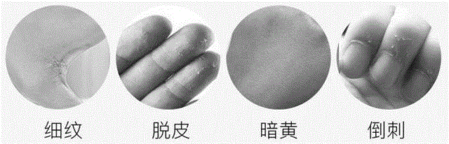糙手救星,连干裂冻疮和老茧都能修复,修复,老茧,救星,干裂,冻疮,双手,皮肤,肌肤,保养,脱皮