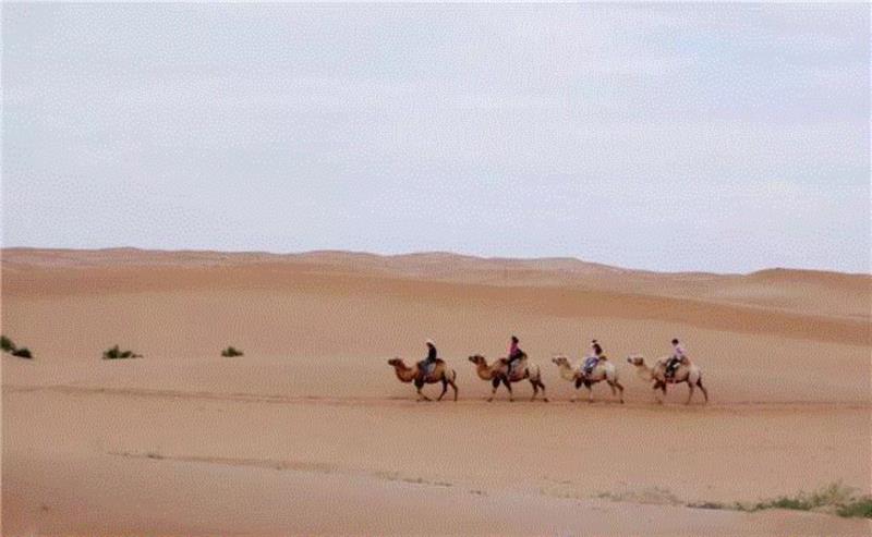 每天热衷于在某宝偷能量种树的人肯定对“阿拉善”这个名字不陌生，但这却是我第一次解锁沙漠地形。,如果要跟一个城市谈恋爱，你会选哪个？,恋爱,成都,地铁,沙漠,建筑,职业,关键词,阿拉善,记忆,天津