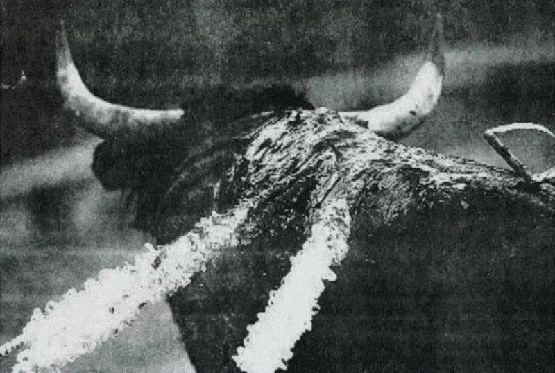 【OCAT Shanghai|About Works】On Translation: El aplauso,aplauso,Translation,OCAT,Shanghai|About,Works,unpredictability,media,audience,installation,are