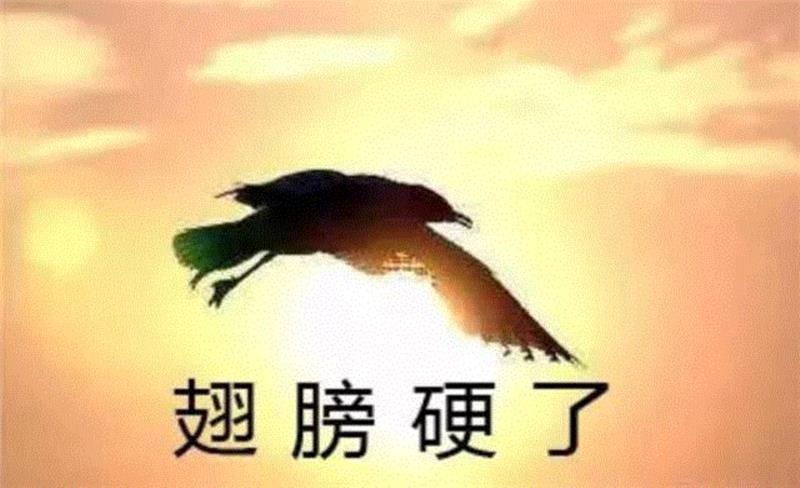 腾格尔翻唱张韶涵老歌：你就知道哈哈哈，却不知道他有多牛逼！,腾格尔,张韶涵,女儿,歌手,台湾,演唱,草原,演唱会,天堂,翅膀