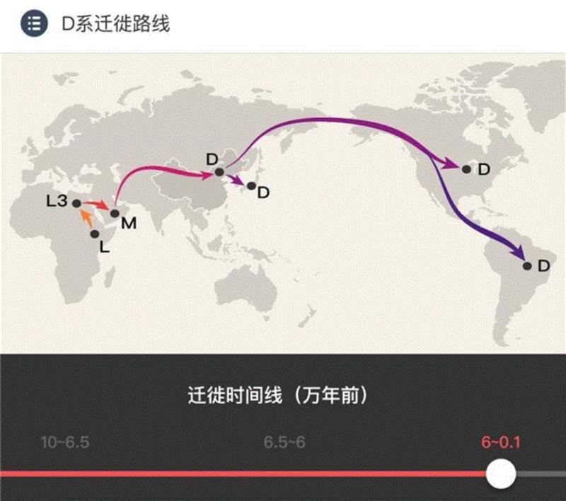 她这套染色体，曾走过半个地球， 记录了漫长的交配史...,染色体,地球,交配,基因,检测,唾液,非洲,祖源,生物,告诉我