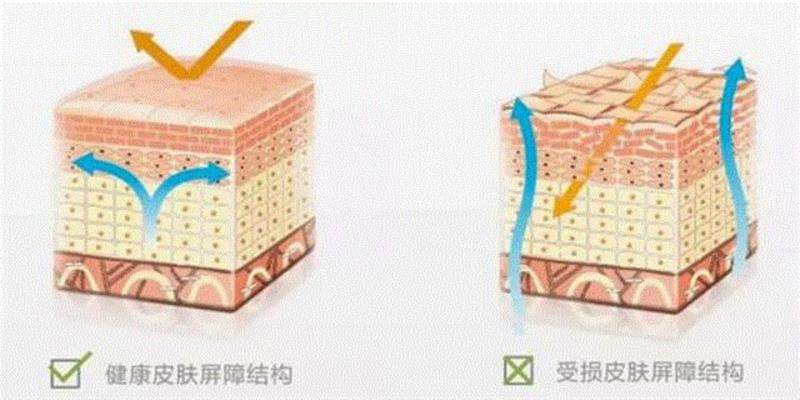 90岁英女王保养得像60岁，原来也爱用它护肤,英女王,保养,皮肤,绵羊,羊油,澳洲,肌肤,绵羊油,毛孔,精华
