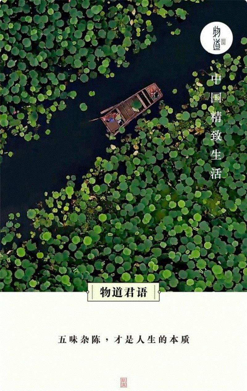 又一部零差评纪录片,豆瓣9.0,道尽五味人生,惹哭了亿万中国人,纪录片,豆瓣,百合,本草,肉桂,老伴,荷叶,海带,爱情,青梅
