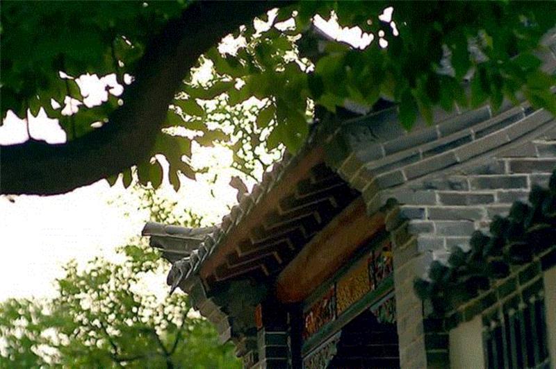 又一部零差评纪录片,豆瓣9.0,道尽五味人生,惹哭了亿万中国人,纪录片,豆瓣,百合,本草,肉桂,老伴,荷叶,海带,爱情,青梅