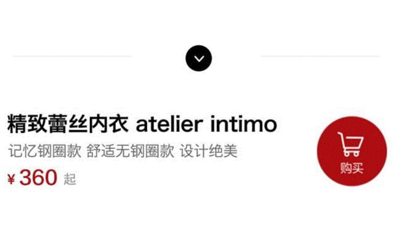 绝美的蕾丝内衣，穿一次就能记住你的胸形,蕾丝,内衣,美的,记忆,钢圈,atelier,尺码,intimo,查看,优惠
