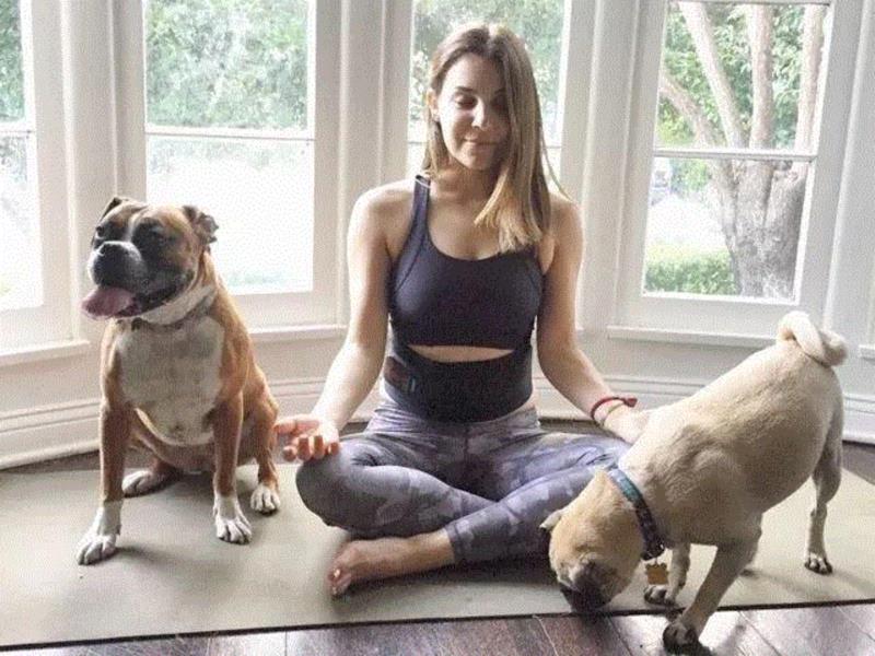 戴着它，你可以一边锻炼肌肉，一边看书、看剧、做家务、吃饭、遛狗，或者干脆躺床上不动……,躺了半个月，竟然躺出了性感腹肌,腹肌,肌肉,腹部,腰带,蓝彤,腹带,马甲,电流,强度,锻炼