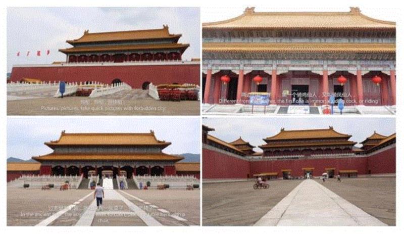宫 &nbsp;The Palace &nbsp; &nbsp;单频录像，彩色，有声 &nbsp;S