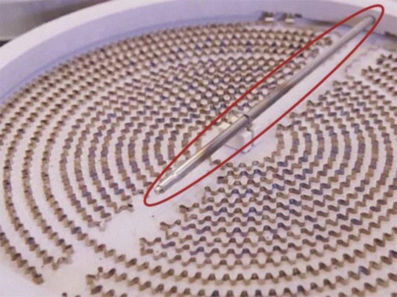 在加热器的中间有一根限温棒（如图中红圈处），它能精准控制电炉温度。,一个德国小电炉，热得快，什么锅都能用,电炉,加热,火力,玻璃,Miji,温度,加热器,Tips,汤锅,旋钮