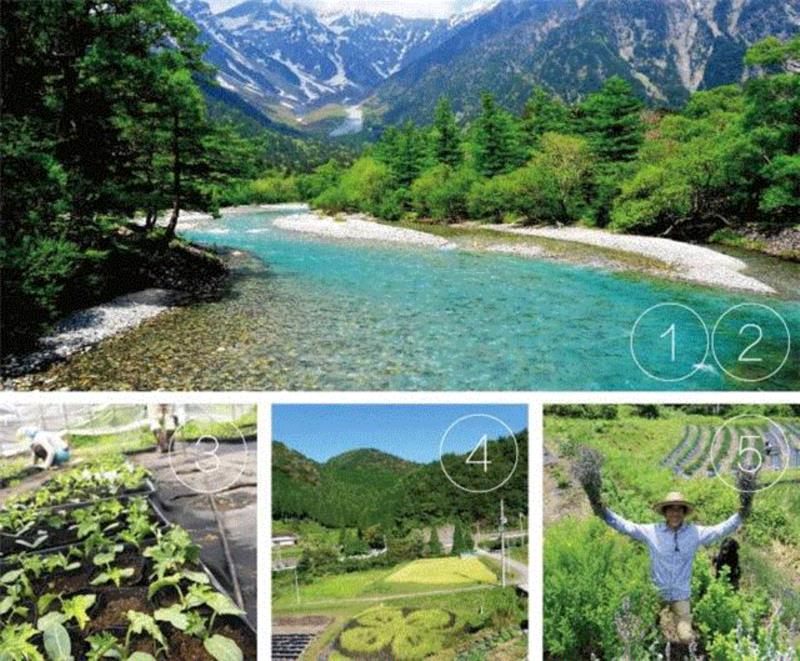▲①②优质水源③人工育苗④有机耕耘⑤按时收获,火爆全日本的中国美容秘方，让你冬天水嫩嫩,日本,美容,火爆,秘方,马油,肌肤,皮肤,化学,手工皂,油脂