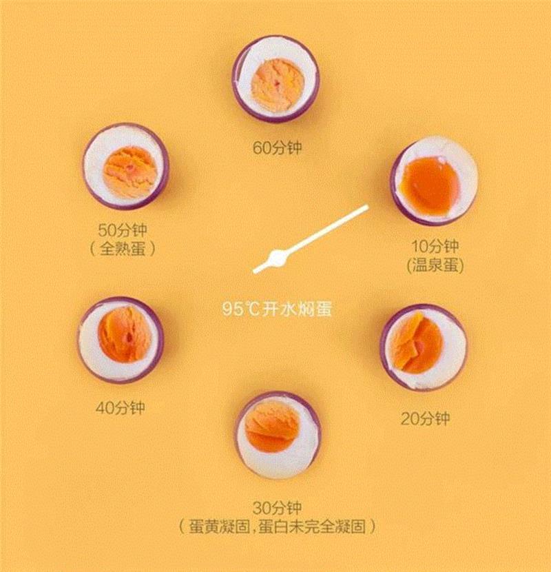  ,95折｜看得见温度的智能保温杯，泡茶焖蛋样样行,温度,保温杯,智能,泡茶,显示屏,热水,材质,杯子,水温,杯盖