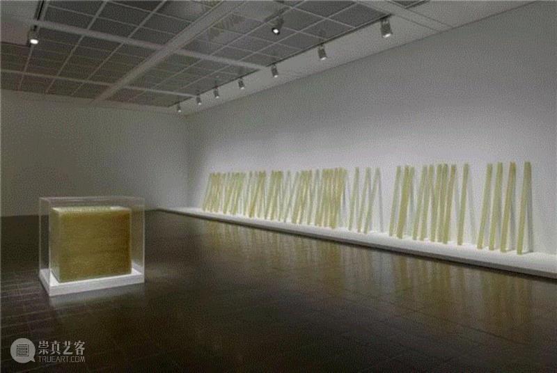 ▲ 伊娃·海瑟（Eva Hesse）2013年在德国汉堡美术馆（Hamburger Kun