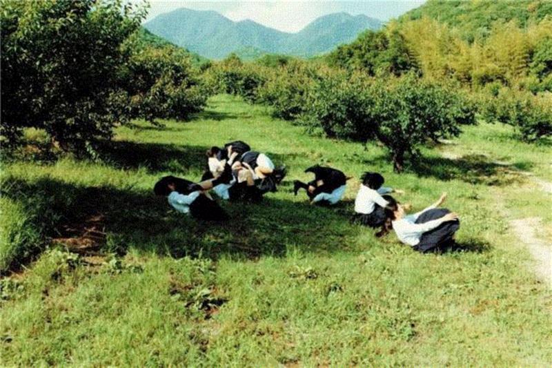 日本少女写真第一人,少女,日本,写真,横浪修,摄影师,纯真,照片,留言,视频,女星