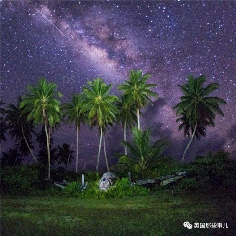 由于常年在野外拍摄，,一群人帮一只猴子把这个摄影师告到破产... 还能有这种操作？？？,摄影师,破产,操作,David,自拍,照片,版权,动物,自拍照,相机