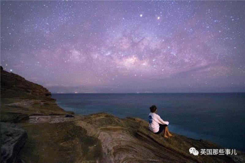 由于常年在野外拍摄，,一群人帮一只猴子把这个摄影师告到破产... 还能有这种操作？？？,摄影师,破产,操作,David,自拍,照片,版权,动物,自拍照,相机