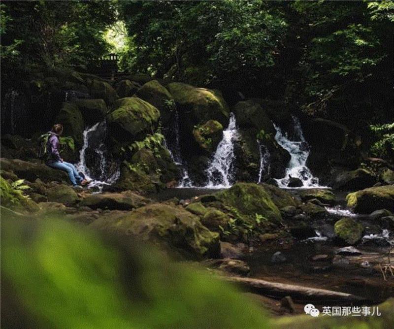 由于常年在野外拍摄，,一群人帮一只猴子把这个摄影师告到破产... 还能有这种操作？？？,摄影师,破产,操作,David,自拍,照片,版权,动物,自拍照,相机