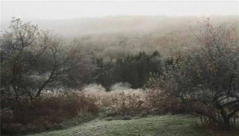 ▲ 纽约后花园哈德森河谷，Hudson Made的天然植物种植基地,Pinterest出镜率奇高的天然手工皂，不仅好看还好用,Pinterest,双手,成分,清洗,Hudson,皮肤,SOAP,手工皂,Made,肌肤