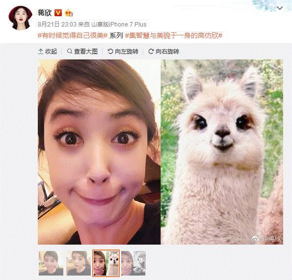 蒋欣：我最好的角色不是华妃和樊胜美，而是……,蒋欣,樊胜美,喜剧,演员,表演,节目,芭蕾舞,开心,妈妈,爸爸