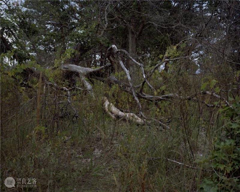 Representation, 2015，One Land To Another,影楼 | 徐冠宇用摄影挑战白人对亚裔男性的刻板印象,徐冠宇,摄影,亚裔,男性,挑战,白人,Another,美国,身份,One