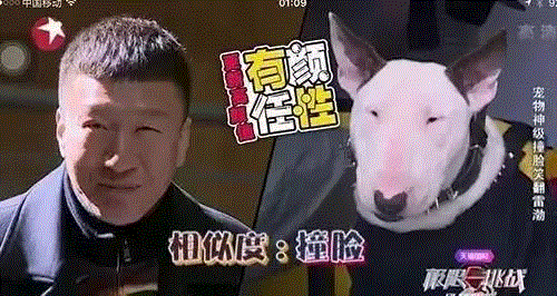 男神｜大哥变颜王，孙红雷不拍戏只综艺好吗？,孙红雷,大哥,男神,变颜,拍戏,剧本,综艺,温柔,赵宝刚,男人