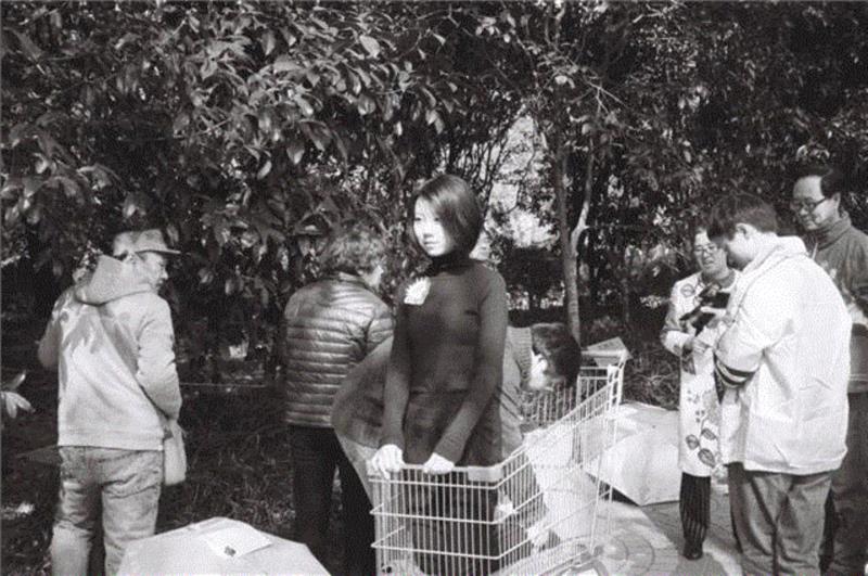 主要生活于上海，做一点剧场与行为艺术，关注观念、权力、人。,McaM 表演| 9月9=九块九+组合嬲=共享厨房 Kitchen Sharing,组合,厨房,McaM,表演,Kitchen,Sharing,说话,付彤,舞蹈,艺术节