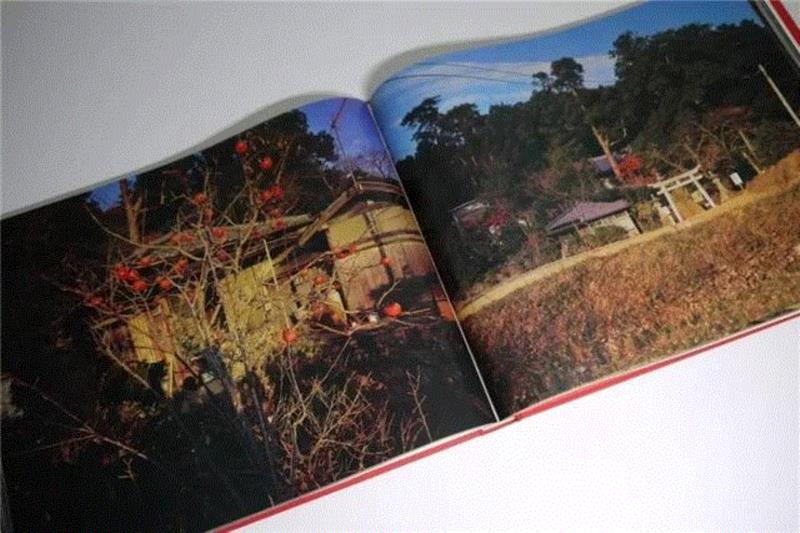 筱山纪信：家，1975,@RT U | 摄影有多简单，就有多复杂,摄影,@RT,筱山纪信,写真,少女,人体,Santa,中性,徐淳刚,筱山