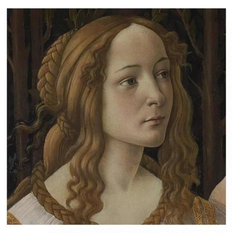 《维纳斯》,史上最美的女神 | 波提切利,波提切利,维纳斯,女神,Botticelli,佛罗伦萨,Sandro,美第奇家族,with,Child,Saint